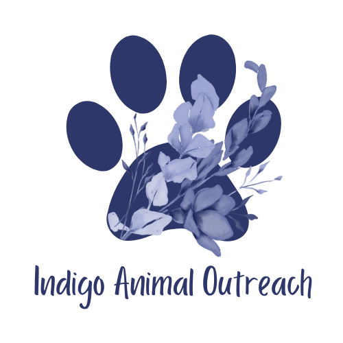 Indigo Animal Outreach